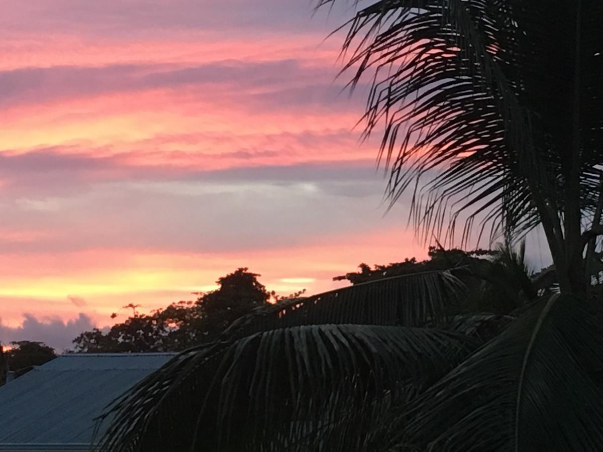 Sueno Grande B&B Puerto Viejo de Talamanca Buitenkant foto